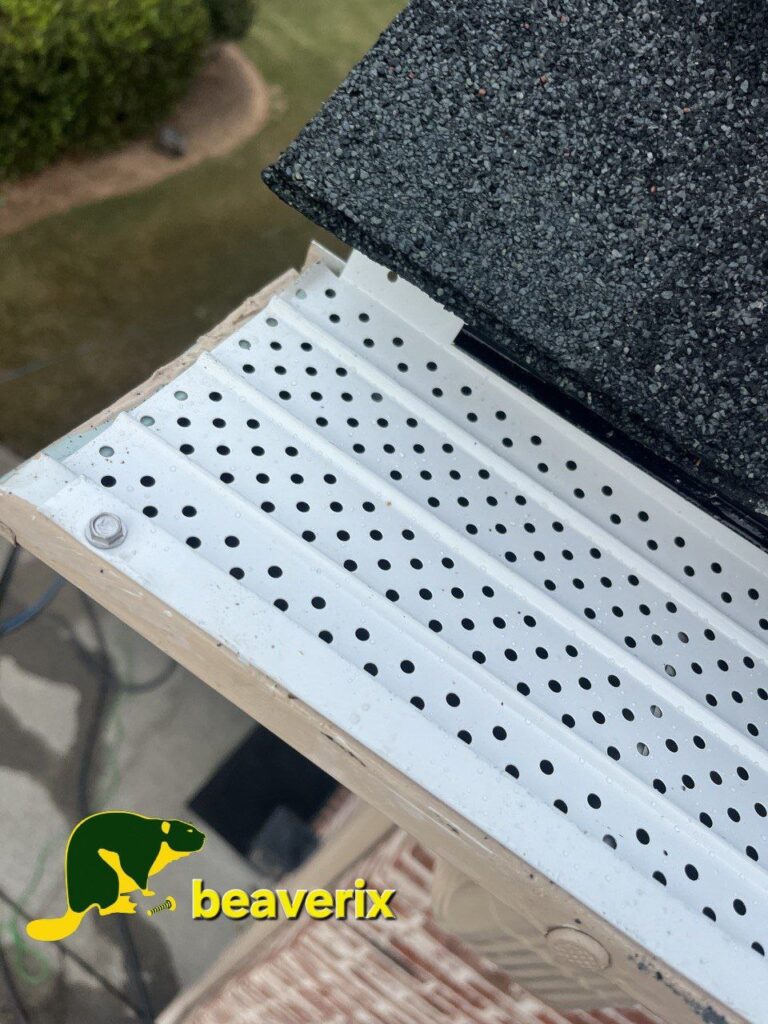 Gutter Cleaning & Maintenance_1