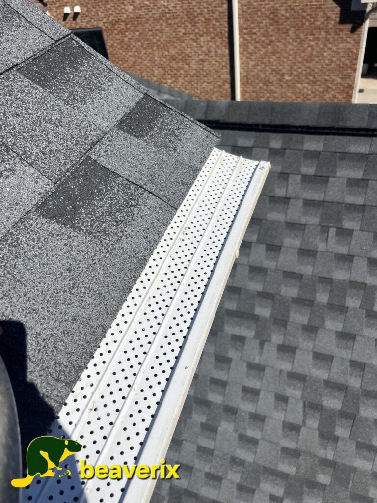 Gutter Cleaning & Maintenance_3