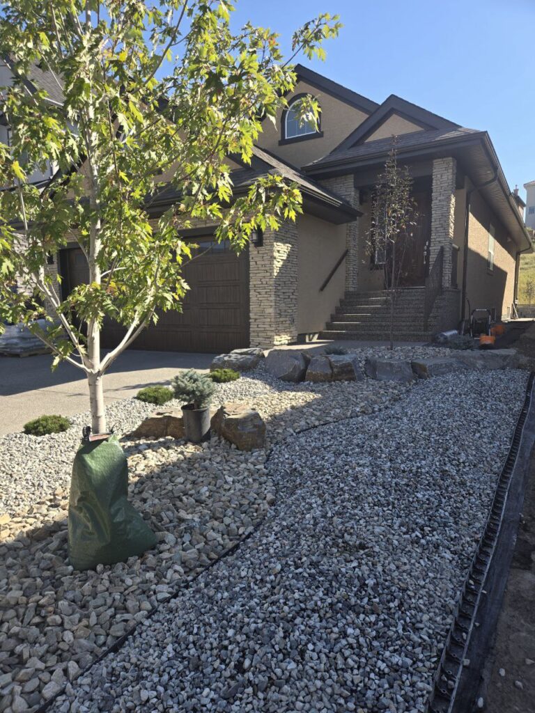 Yard Landscaping & Tree Planting_2