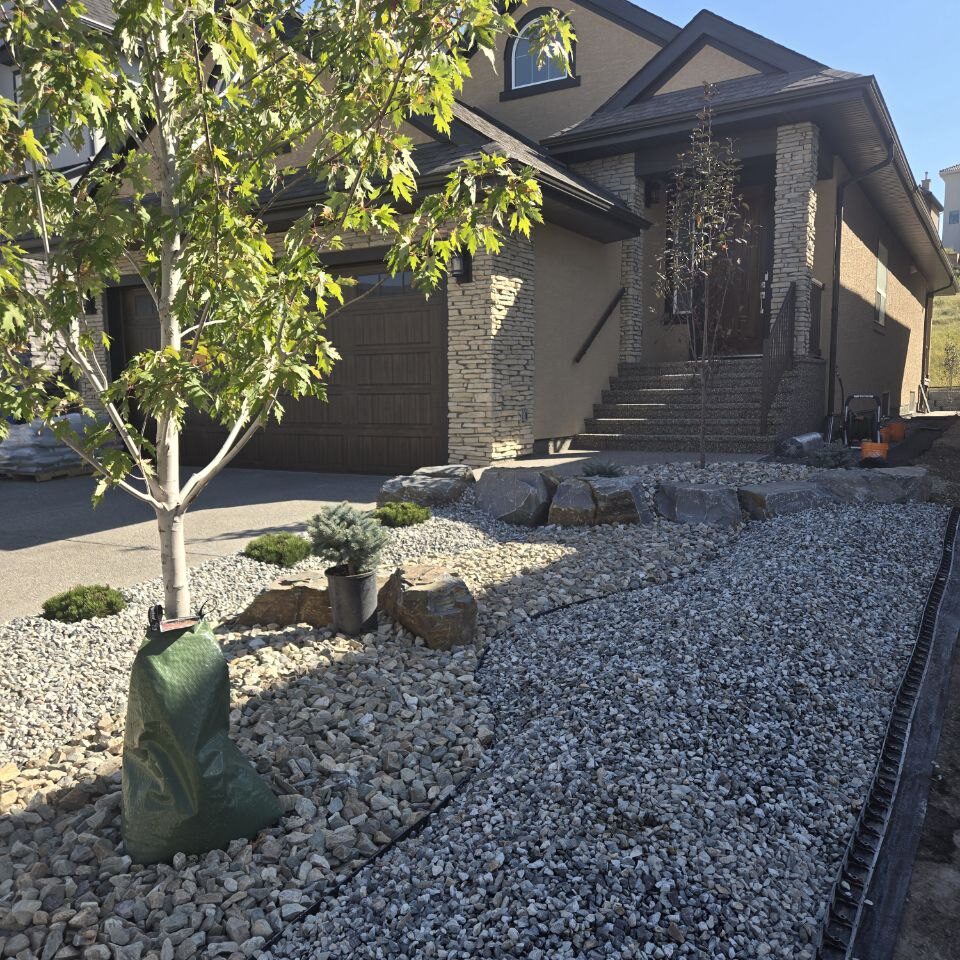 Yard Landscaping & Tree Planting