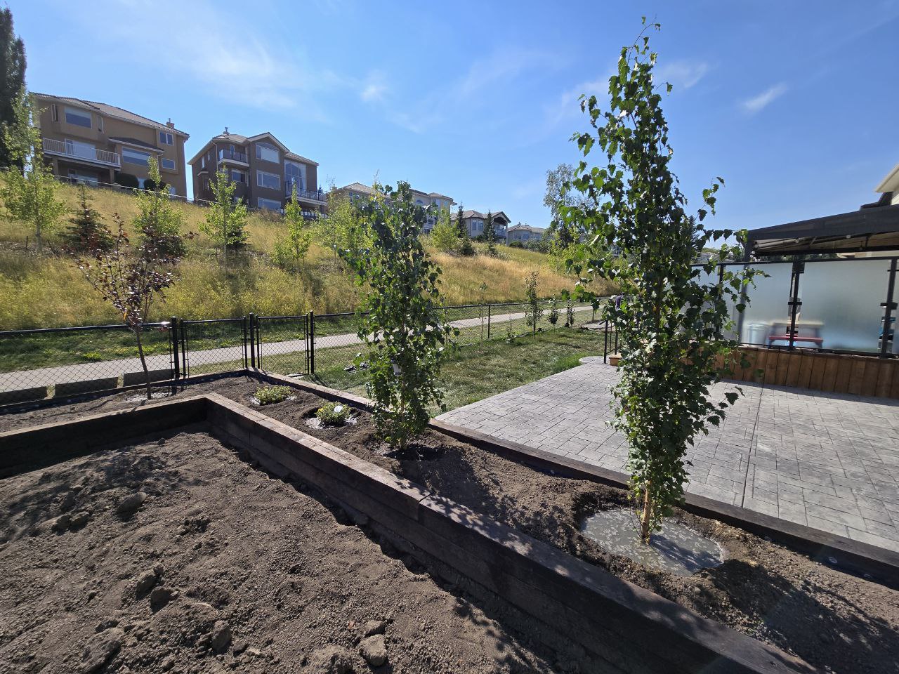 Yard Landscaping & Tree Planting