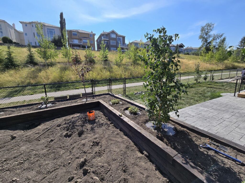 Yard Landscaping & Tree Planting_3