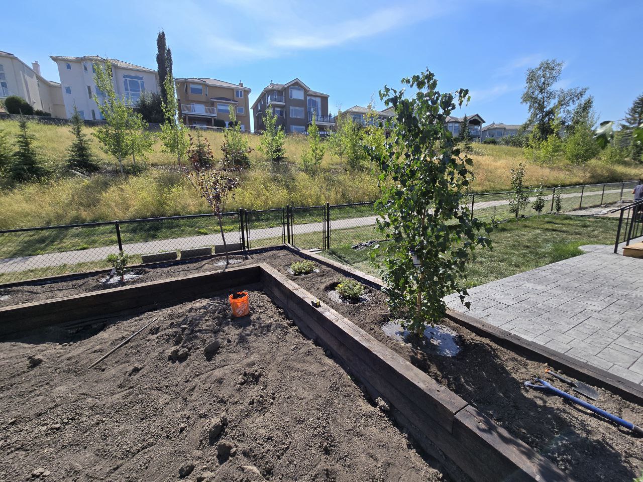 Yard Landscaping & Tree Planting