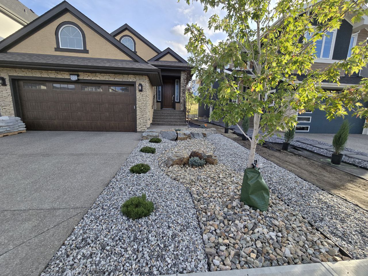 Yard Landscaping & Tree Planting